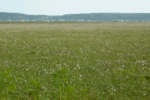 霧多布15104kiritapputochi.gif